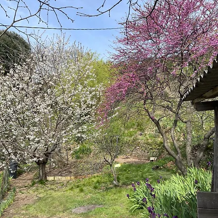 Bed & Breakfast Mas Soubeyran Saint-Michel-de-Deze