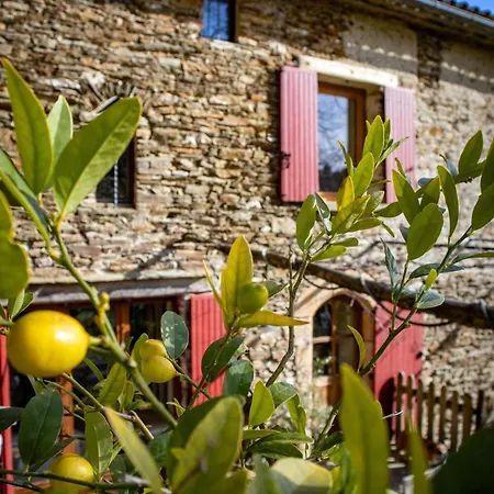 Mas Soubeyran Bed & Breakfast Saint-Michel-de-Deze