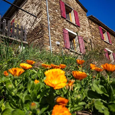 Mas Soubeyran Bed & Breakfast Saint-Michel-de-Deze