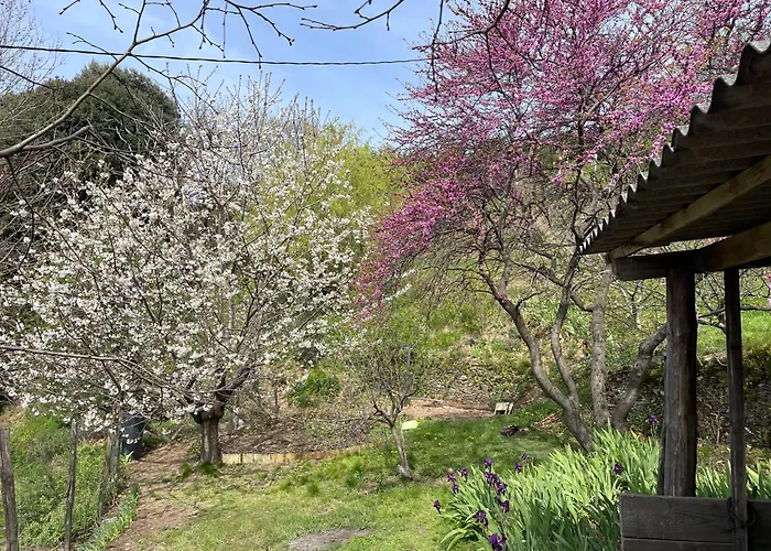 Panzió Mas Soubeyran Saint-Michel-de-Dèze